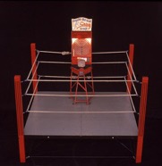 Boxring_150.jpg